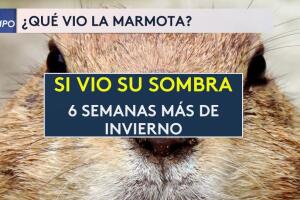 Marmota invierno Texas