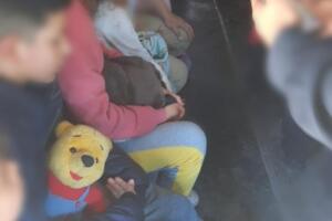 migrantes
