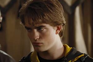 cedric diggory harry potter 4.jpg