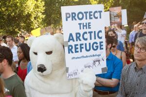 Trump Protesta Washington