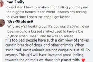 comentarios_redes_socialess