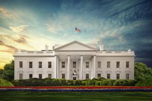 The White House, Washington DC - Image
