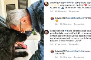 Patrick Boyer, papá de Angelique Boyer, sufrió la muerte de su mascota Nuchka.