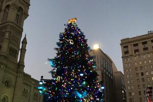 ARBOL DE NAVIDAD.JPG