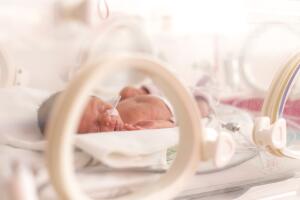 Premature newborn  baby girl