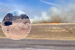 Animales quemados incendio Eastland Texas.jpg