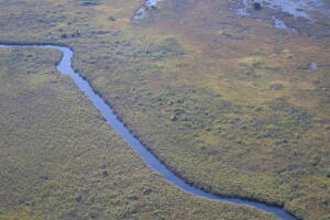 que-ver-en-botswana-2.jpg