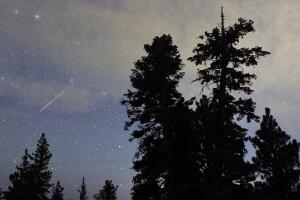 The Annual Perseid Meteor Shower