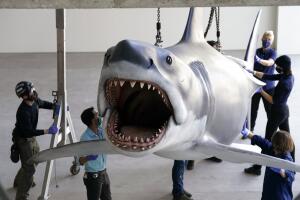 "Jaws" Installation at The Academy Museum of Motion Pictures