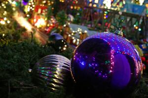 La magia de las luces de navidad en el zoológico de Houston