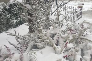 Tormenta de nieve Chicago