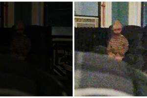 Dear David Adam Ellis