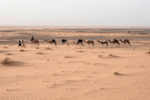 Desierto del Sahara 