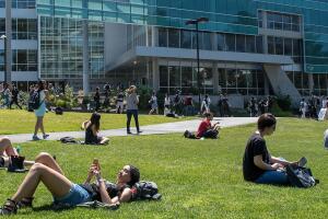 san francisco state 2.jpg