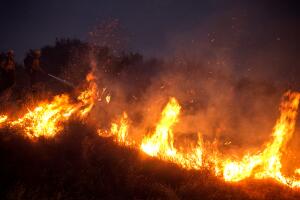 California Wildfires