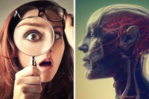 inteligencia_artificial_tiktok