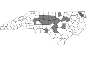 Resultados electorales de Carolina del Norte del martes 10 de octubre