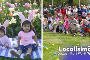 huevos-pascua-dfw (1).jpg