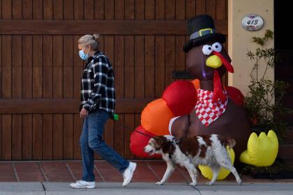 A pedestrian wearing a face mask walks their dog past an inflatable turkey ahead of the Thanksgiving holiday during increased Covid-19 restrictions in Manhattan Beach, California, November 21, 2020. - The United States surpassed 12 million Covid-19 cases today, according to the Johns Hopkins University real-time tracker. (Photo by Patrick T. Fallon / AFP) (Photo by PATRICK T. FALLON/AFP via Getty Images)