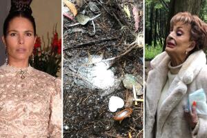 Muerte Mariana Levy: Talina Fernández habla sobre la despedida de las cenizas de su hija 