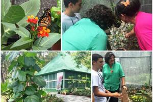 Inauguran mariposario en Puerto Rico
