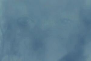 Ojos en Peaky Blinders Polly Gray Season 6.jpg