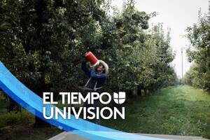 ElTiempo Verano Getty.jpg