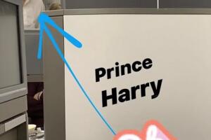 harry draga msj4.jpg