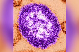 Diseño sin título (11).png