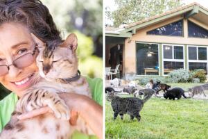 Lynea Lattanzio_collage.jpg