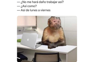 memes-trabajo (6).png