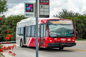 San Antonio Marina Alderete Gavito estudiantes autobús transporte gratuito ausentismo escuelas VIA