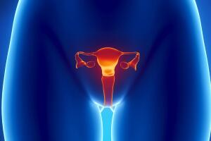 utero-por-dentro-1116-1400x800.jpg