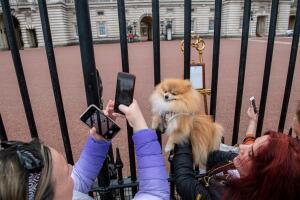 Crowds Flock To Buckingham Palace For New Royal Baby Announcement