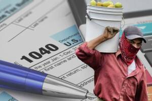 impuestos federales.jpg