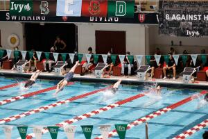 AP25182728302811 (1).jpg