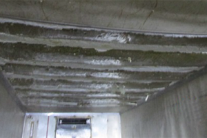 image007 (1).png