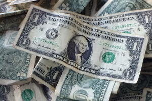 Nerdwallet Fin Budget