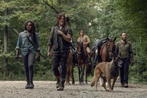 twd-michonne-daryl-s9.jpg