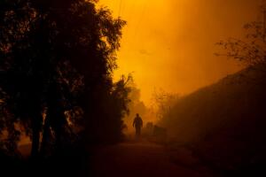 incendio Mountain destruye propiedades afecta cultivos California