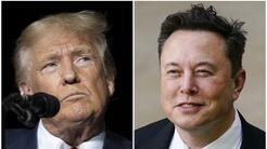Así fue, mensaje a mensaje, la batalla de graves ataques cruzados entre Trump y Musk en redes sociales