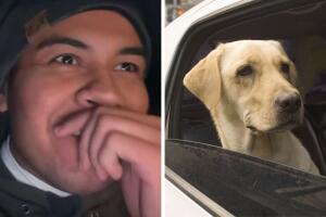 conductor_uber_perro.jpg