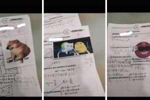 proesor califica con memes.jpg