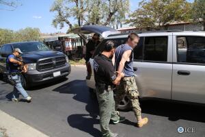 ICE arrests 36 fugitives across US during Operation Safe Nation and Operation No Safe Haven III