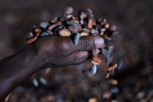 SLEONE-HEALTH-EBOLA-ECONOMY