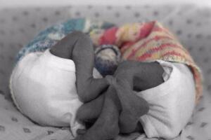 Ludwika Paleta gemelos