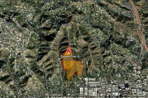 WhatsApp Image 2025-01-09 at 1.42.35 PM.jpeg