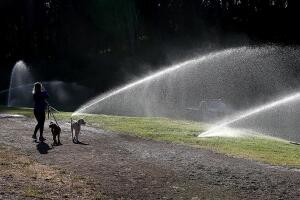 California Governor Orders Mandatory Water Cuts As Drought Worsens