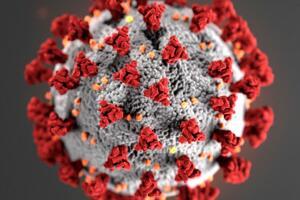 Mitos Coronavirus Andrea /MGN_1280x720_00224P00-GCJRN.jpg