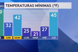 WhatsApp Image 2024-01-11 at 07.49.13.jpeg